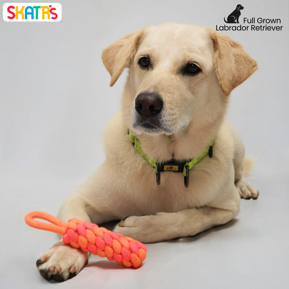 Skatrs Dummy Knotted Rope Chew Toy for Dogs and Cats (Pink/Orange) - Image 5