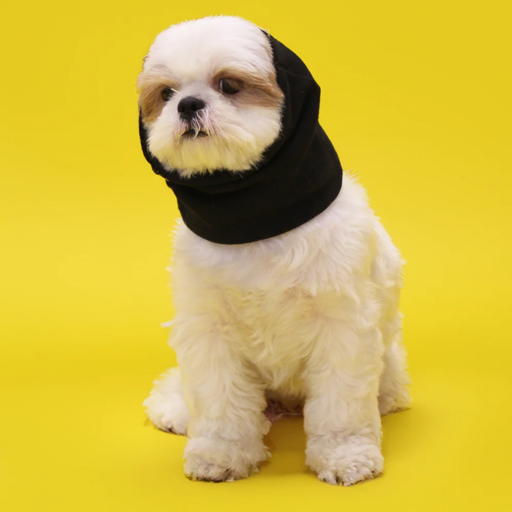 Skatrs Cold and Sound Protection Ear Muffs for Dogs and Cats (Black) - Image 10