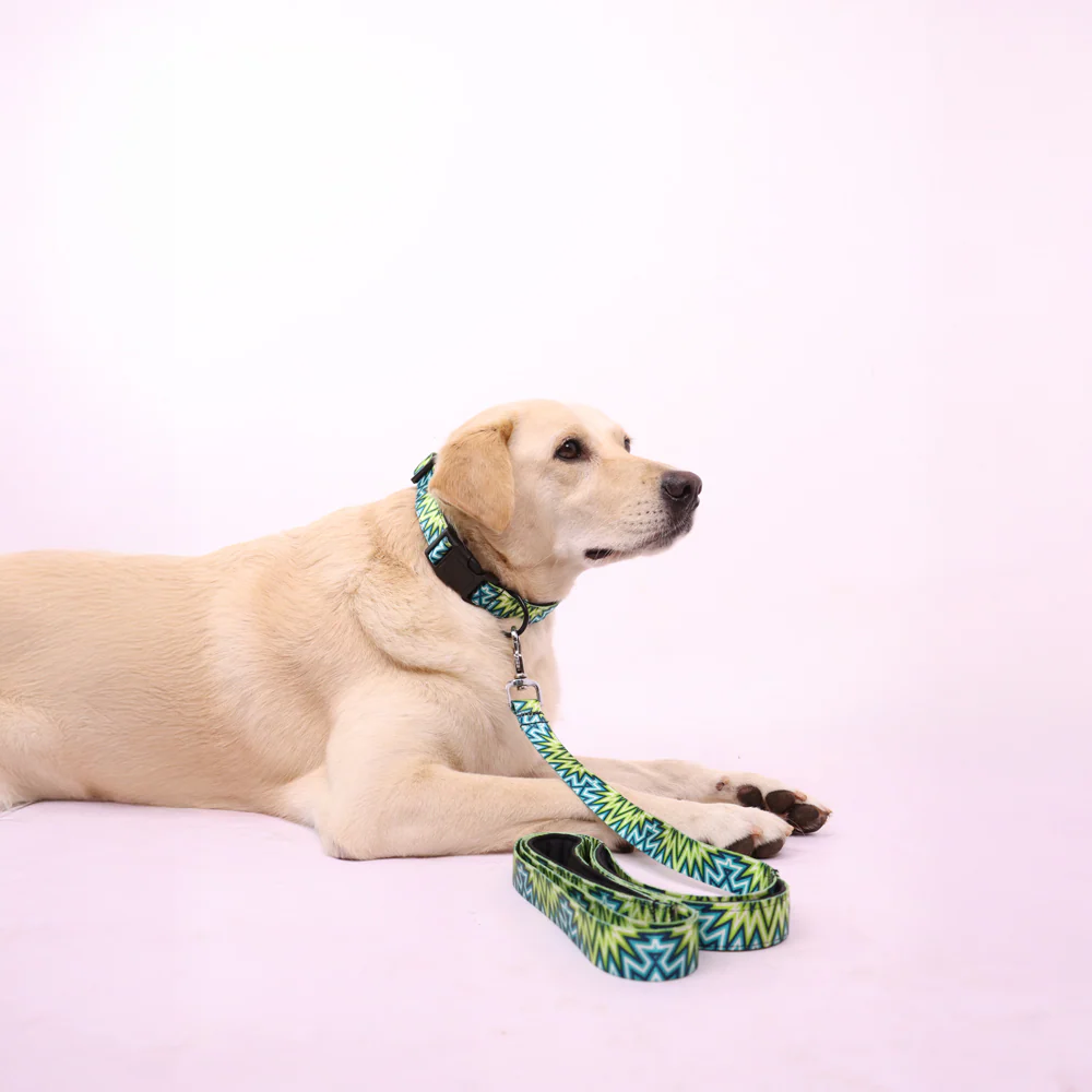 Skatrs Electric Pop Collar for Dogs & Cats - Image 4