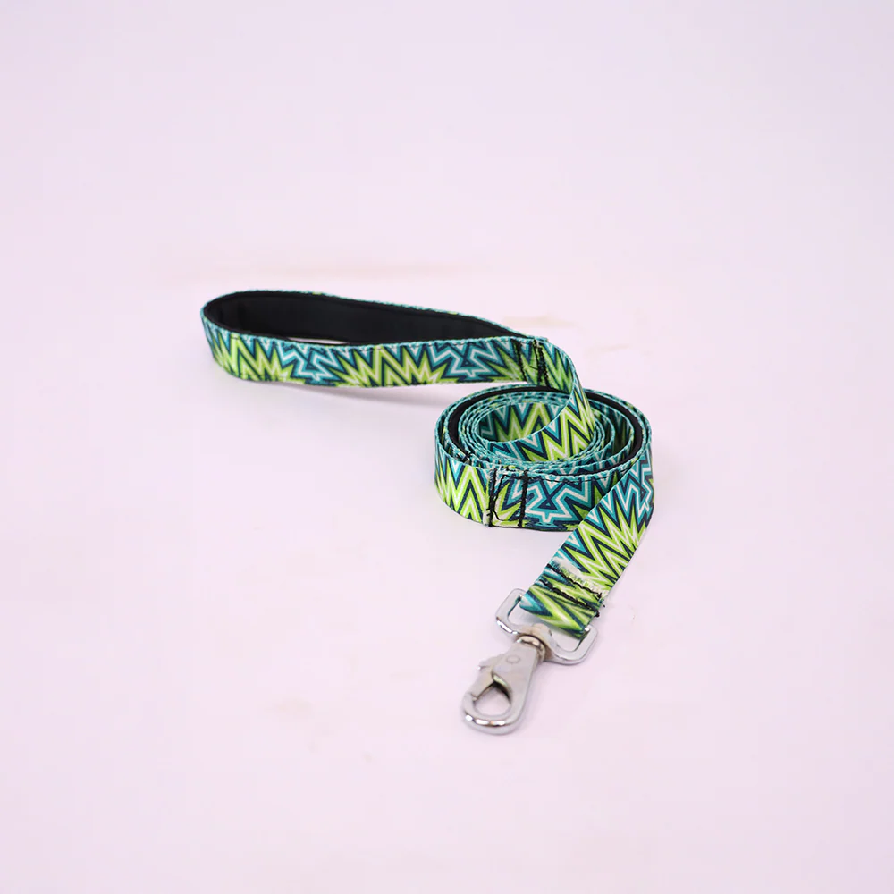 Skatrs Electric Pop Leash for Dogs - Image 3