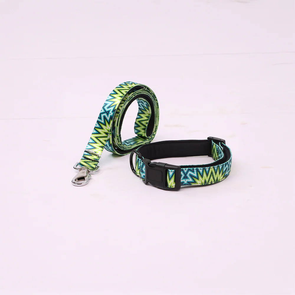 Skatrs Electric Pop Leash for Dogs - Image 4