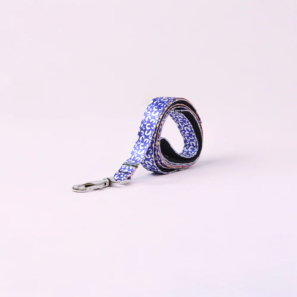 Skatrs Enigma Leash for Dogs - Image 2