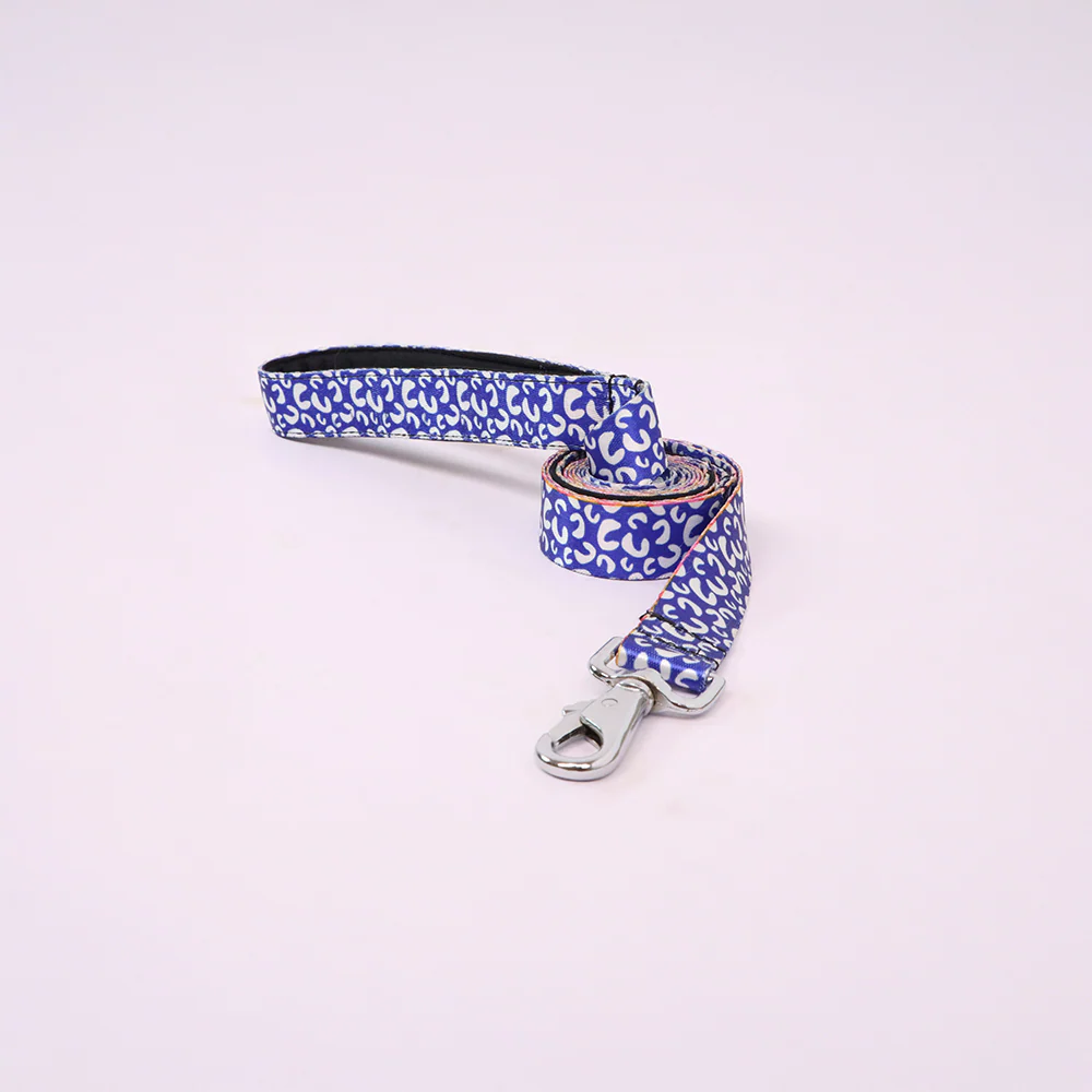 Skatrs Enigma Leash for Dogs - Image 4