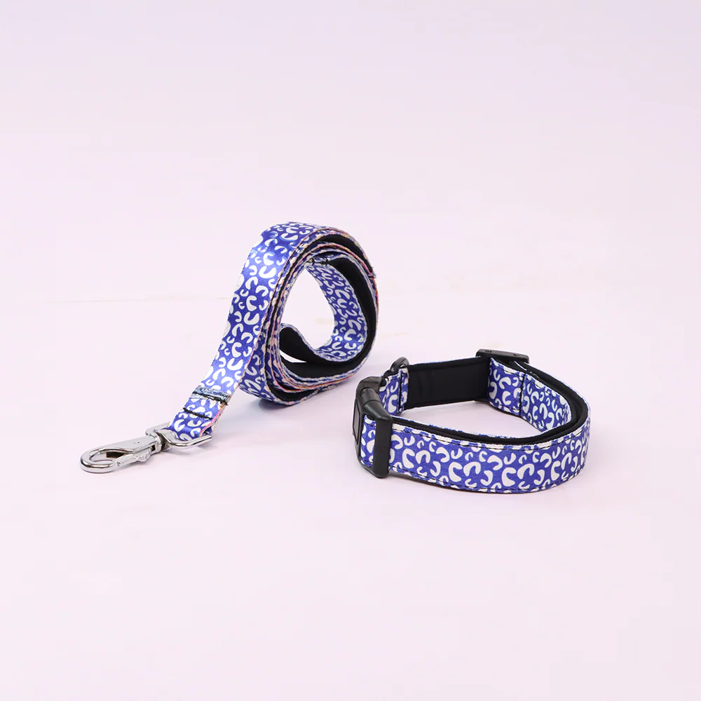 Skatrs Enigma Leash for Dogs - Image 5