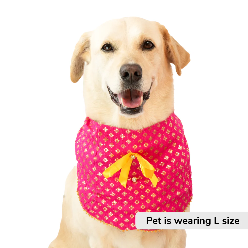 Skatrs Ethnic Bandana for Cats and Dogs (Pink) - Image 2