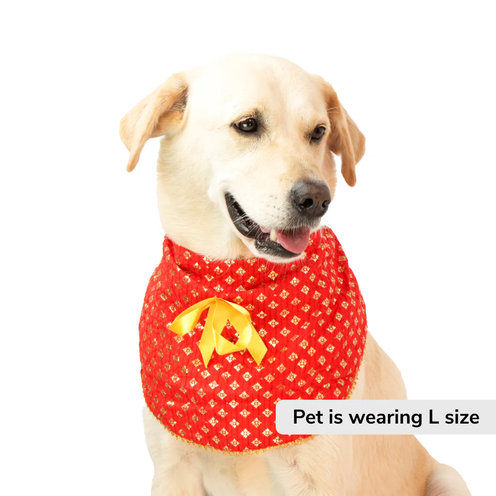 Skatrs Ethnic Bandana for Cats and Dogs (Red) - Image 2
