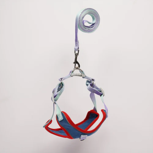 Skatrs Everyday Ready Harness & Leash Set for Small Breed Dogs & Cats (Blue) - Image 4
