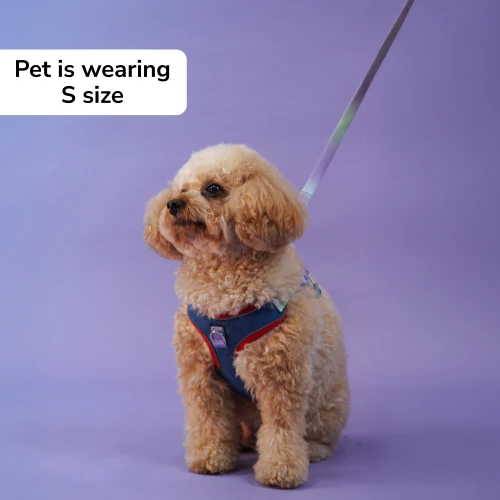 Skatrs Everyday Ready Harness & Leash Set for Small Breed Dogs & Cats (Blue) - Image 5