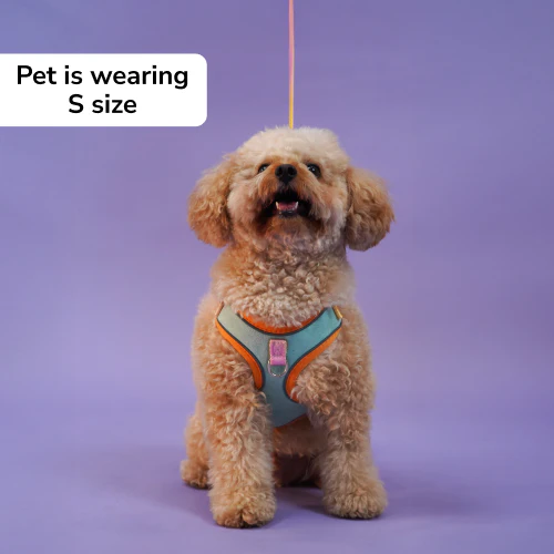 Skatrs Everyday Ready Harness & Leash Set for Small Breed Dogs & Cats (Green) - Image 5