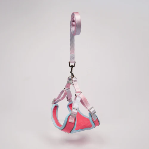 Skatrs Everyday Ready Harness & Leash Set for Small Breed Dogs & Cats (Pink) - Image 3