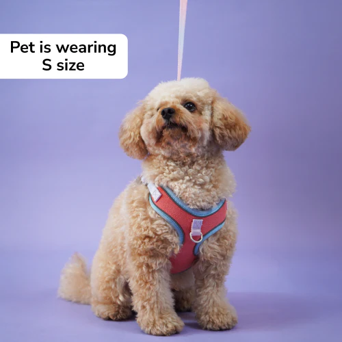 Skatrs Everyday Ready Harness & Leash Set for Small Breed Dogs & Cats (Pink) - Image 5