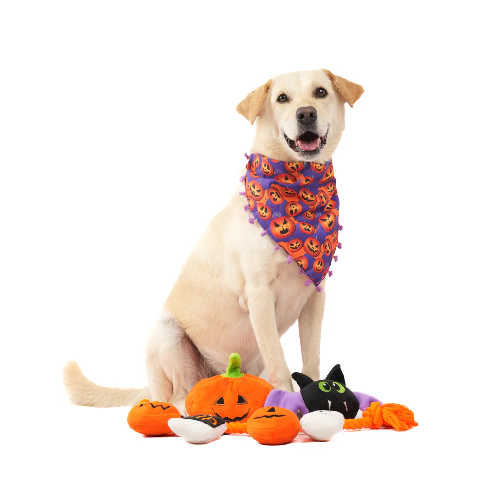 Skatrs Fang tastic Bat Plush Toy for Dogs - Image 5