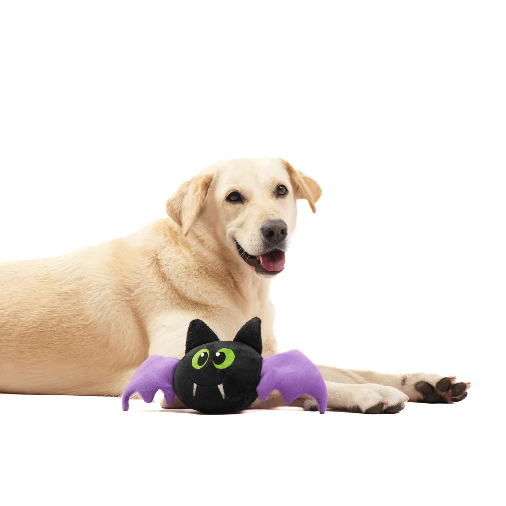 Skatrs Fang tastic Bat Plush Toy for Dogs - Image 6