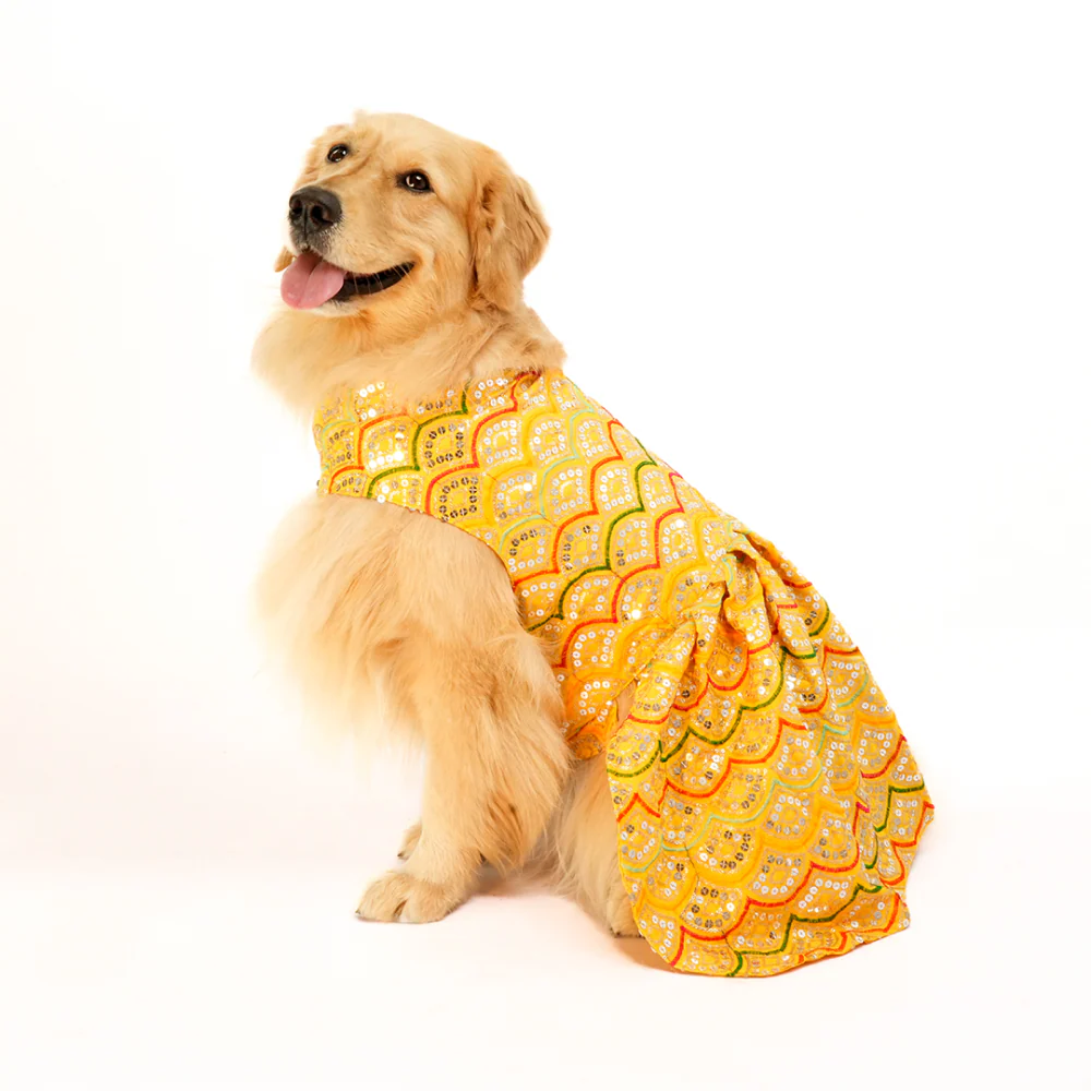 Skatrs Festive Sequence Embroidered Lehenga for Cats and Dogs (Yellow) - Image 10