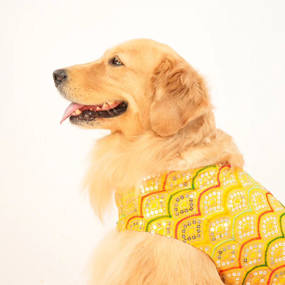 Skatrs Festive Sequence Embroidered Lehenga for Cats and Dogs (Yellow) - Image 11