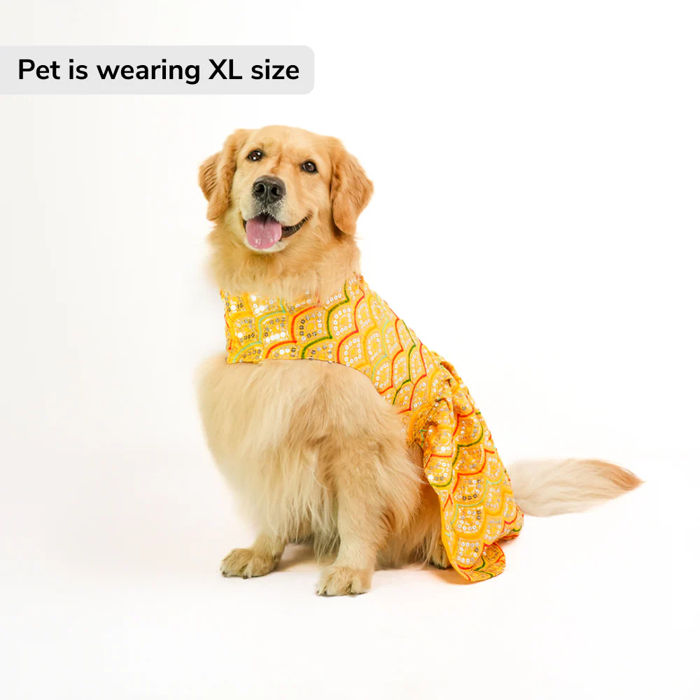 Skatrs Festive Sequence Embroidered Lehenga for Cats and Dogs (Yellow) - Image 3