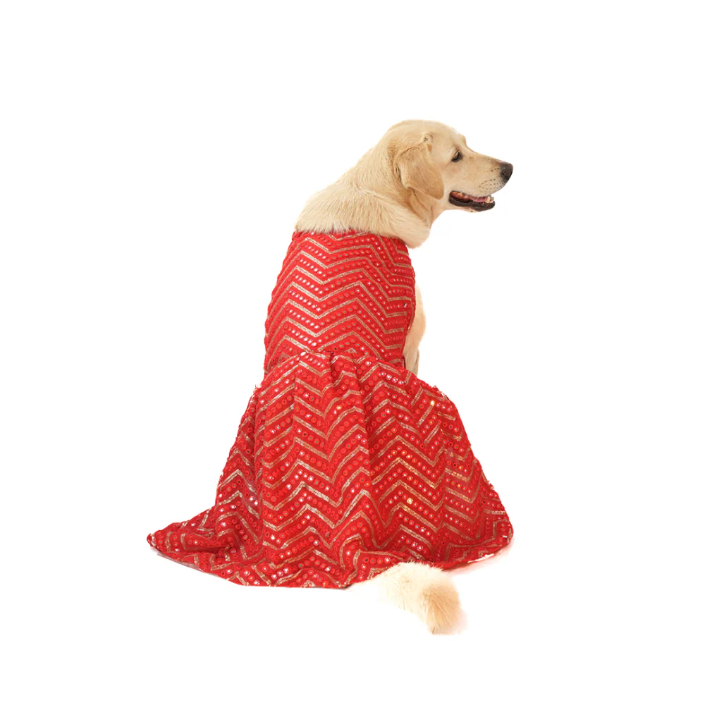 Skatrs Festive Mirror Lehenga for Cats and Dogs (Red) - Image 10