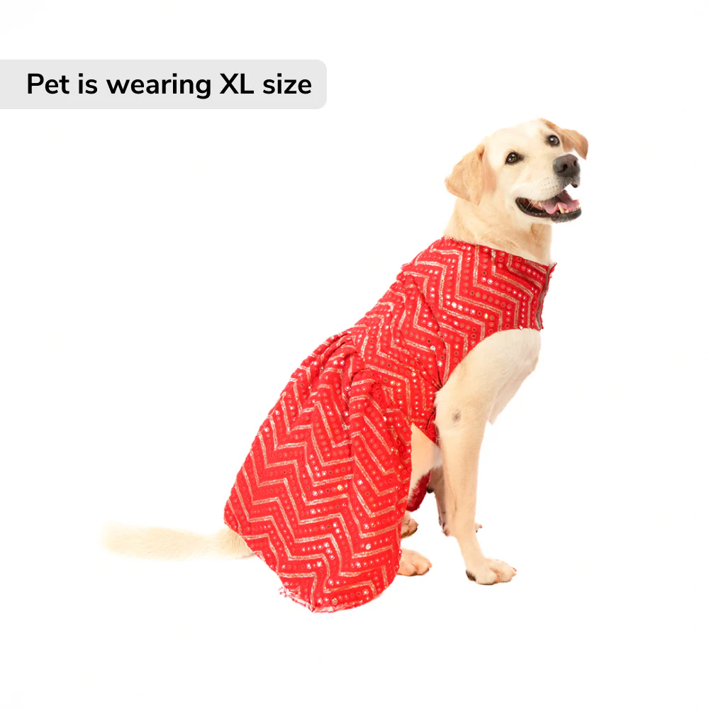 Skatrs Festive Mirror Lehenga for Cats and Dogs (Red) - Image 4