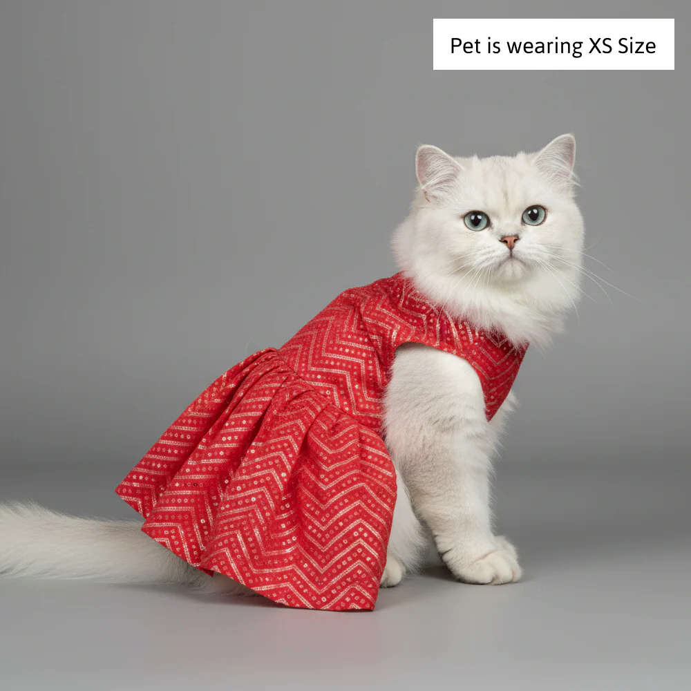 Skatrs Festive Mirror Lehenga for Cats and Dogs (Red) - Image 5