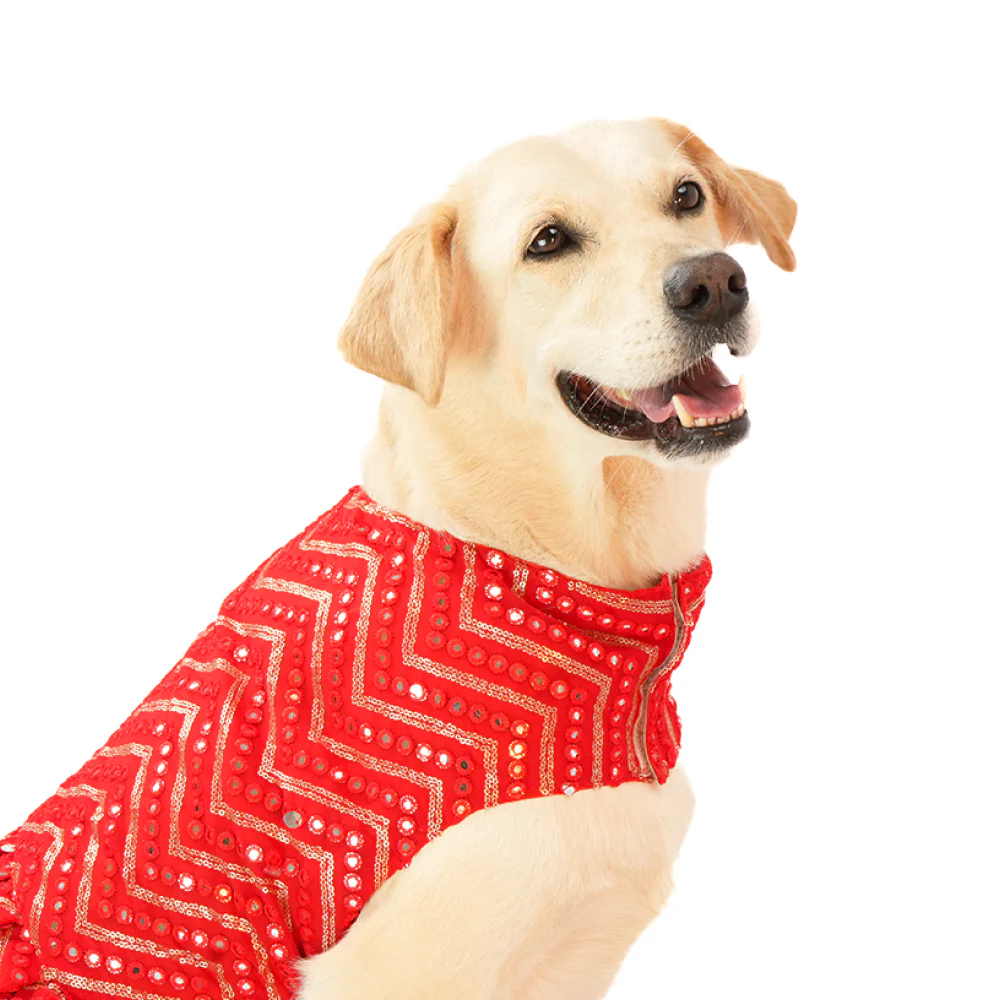 Skatrs Festive Mirror Lehenga for Cats and Dogs (Red) - Image 8