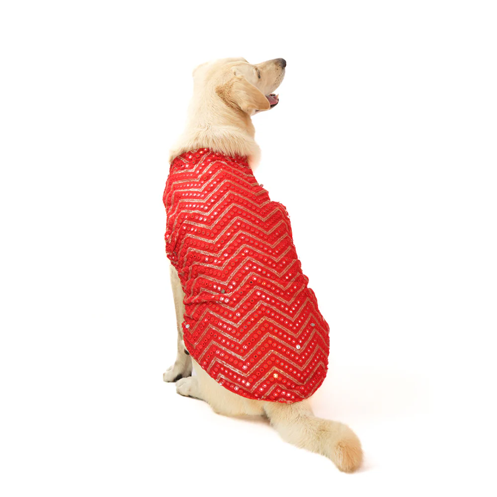 Skatrs Festive Mirror Sherwani for Cats and Dogs (Red) - Image 10