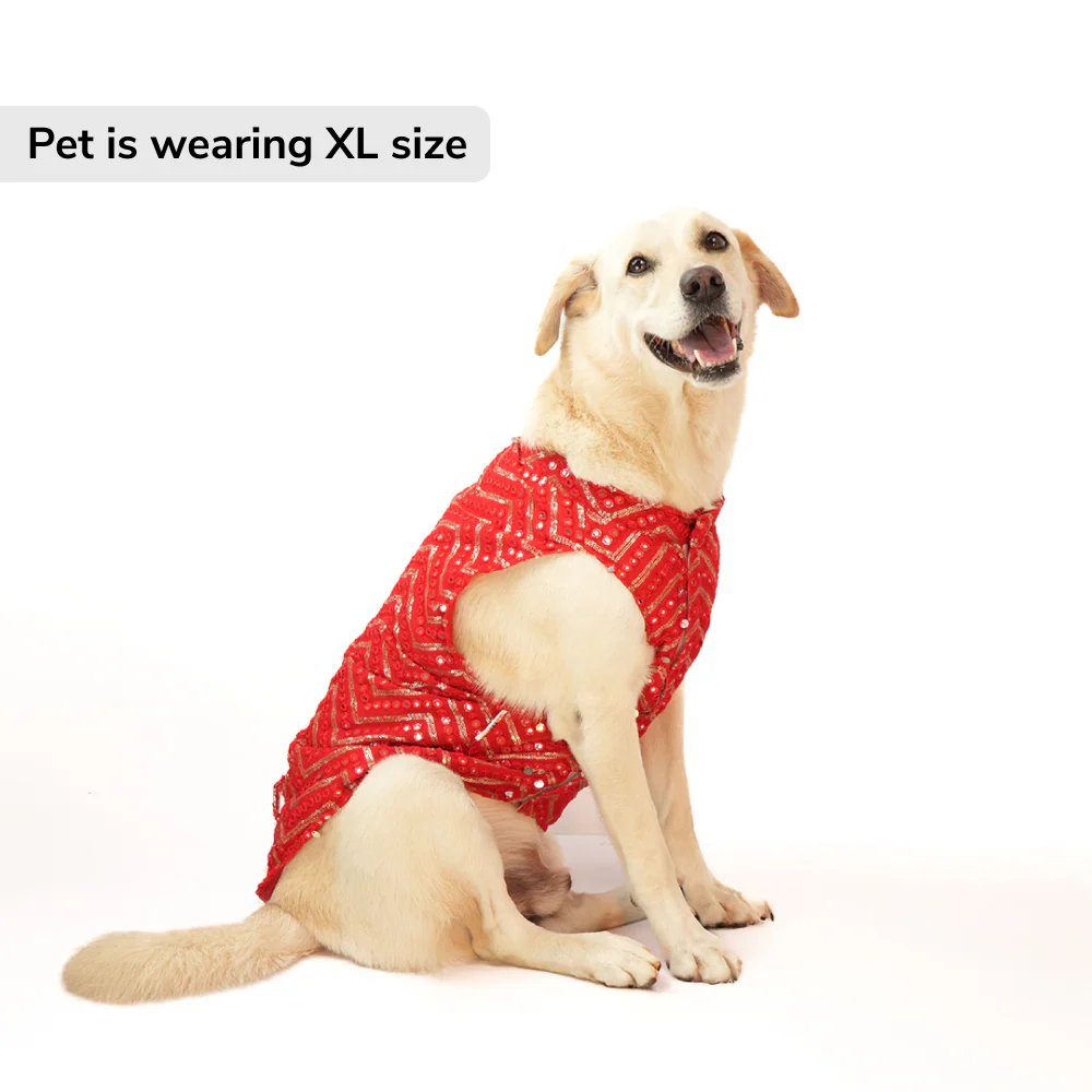 Skatrs Festive Mirror Sherwani for Cats and Dogs (Red) - Image 3
