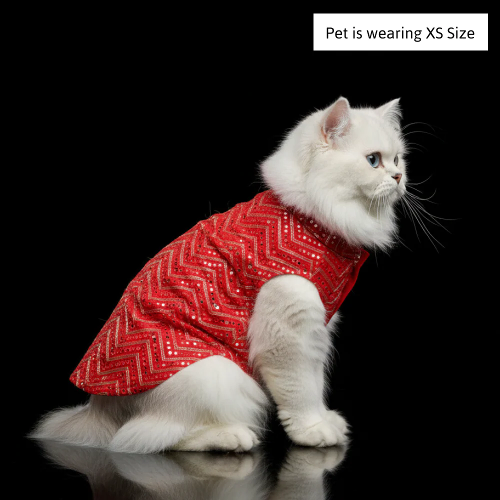 Skatrs Festive Mirror Sherwani for Cats and Dogs (Red) - Image 4