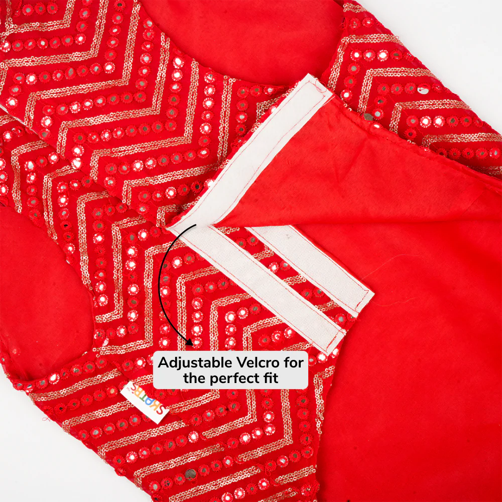 Skatrs Festive Mirror Sherwani for Cats and Dogs (Red) - Image 5