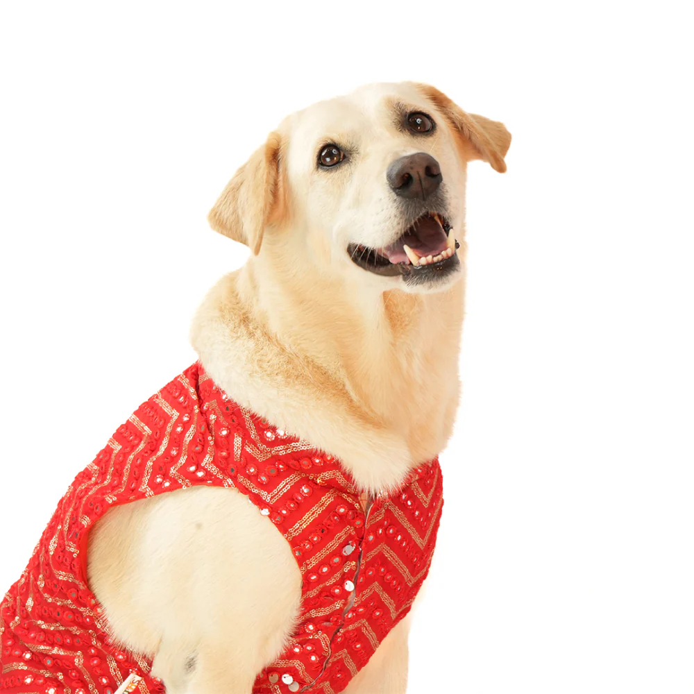 Skatrs Festive Mirror Sherwani for Cats and Dogs (Red) - Image 8