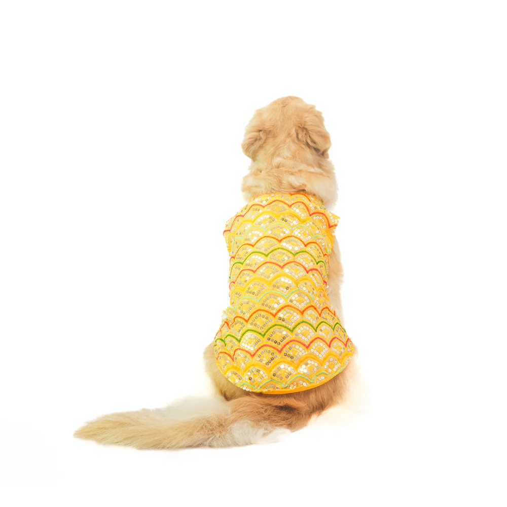 Skatrs Festive Sequence Embroidered Sherwani for Cats and Dogs (Yellow) - Image 10