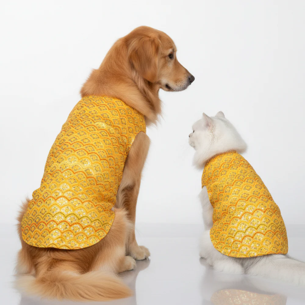 Skatrs Festive Sequence Embroidered Sherwani for Cats and Dogs (Yellow) - Image 14