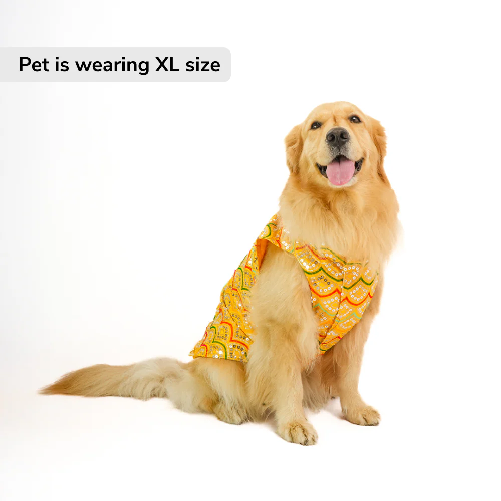 Skatrs Festive Sequence Embroidered Sherwani for Cats and Dogs (Yellow) - Image 3