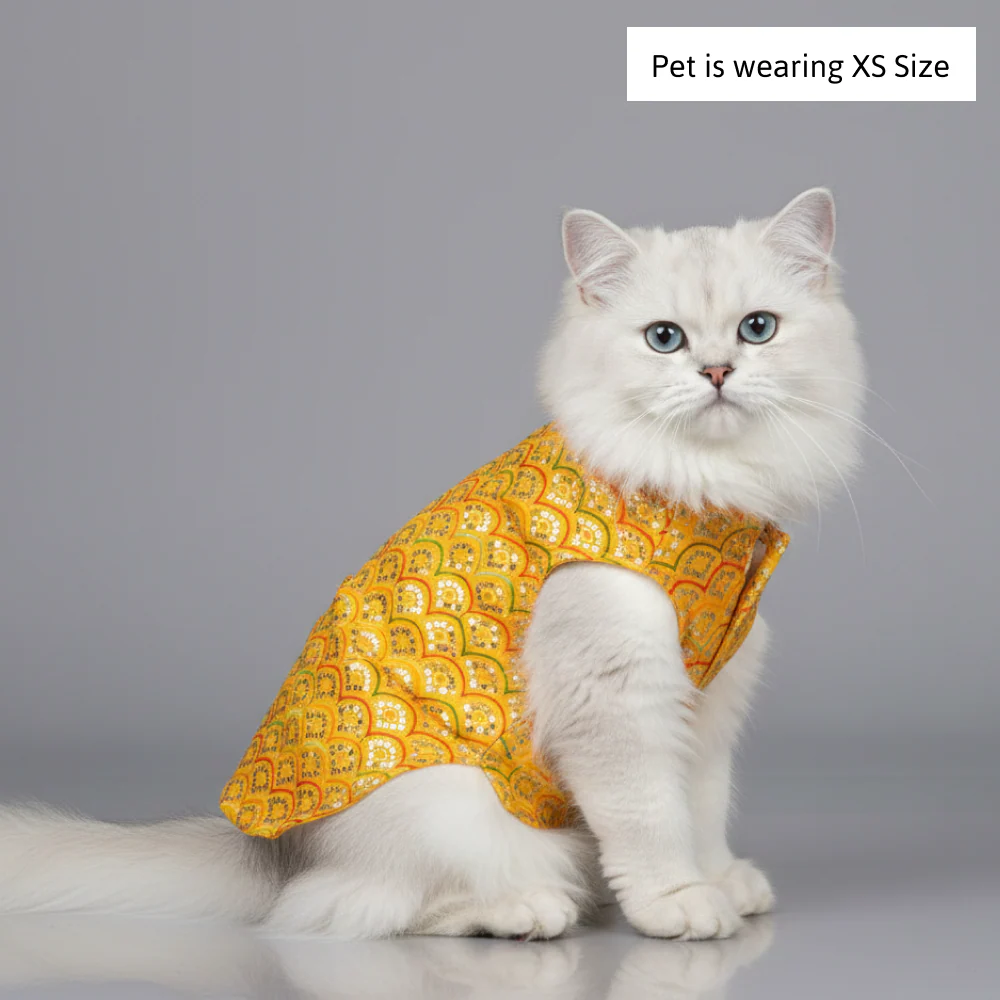 Skatrs Festive Sequence Embroidered Sherwani for Cats and Dogs (Yellow) - Image 4