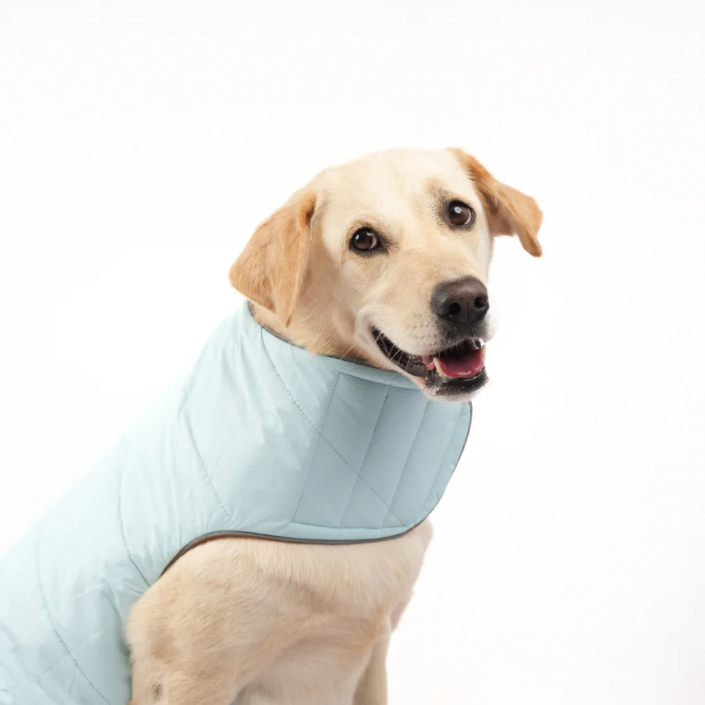Skatrs Firefly Fuzz Puffer Reversible Jacket for Dogs and Cats - Image 14