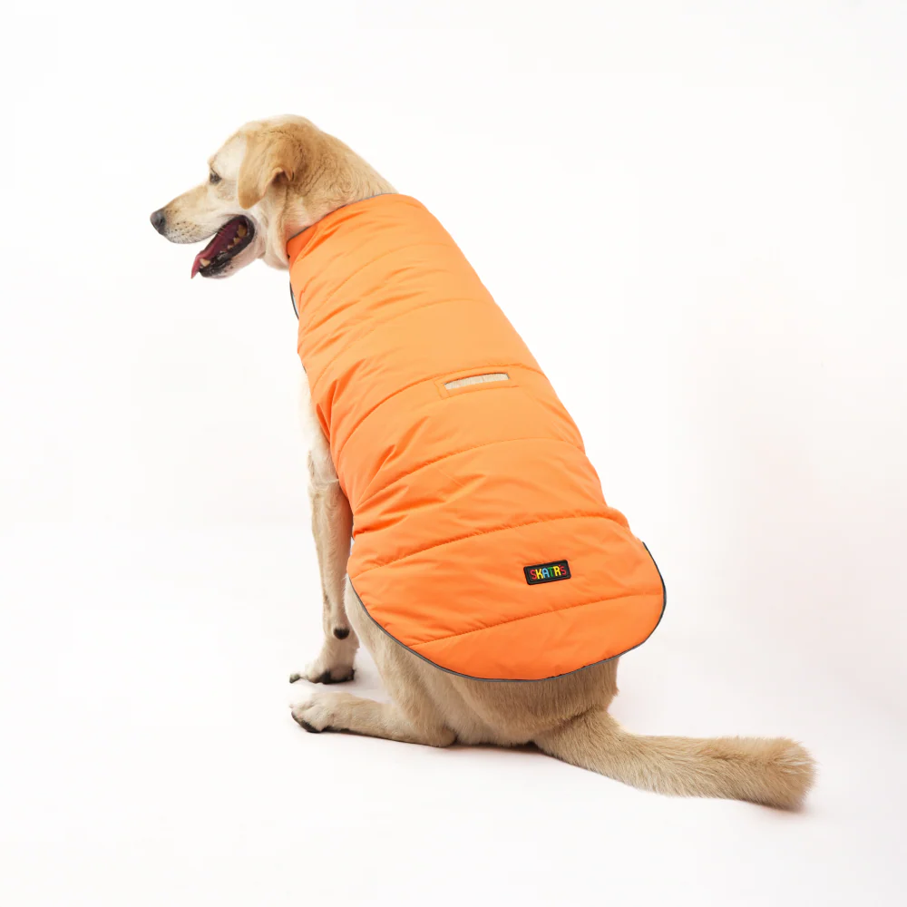 Skatrs Firefly Fuzz Puffer Reversible Jacket for Dogs and Cats - Image 2