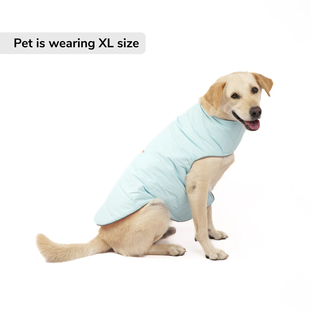 Skatrs Firefly Fuzz Puffer Reversible Jacket for Dogs and Cats - Image 5