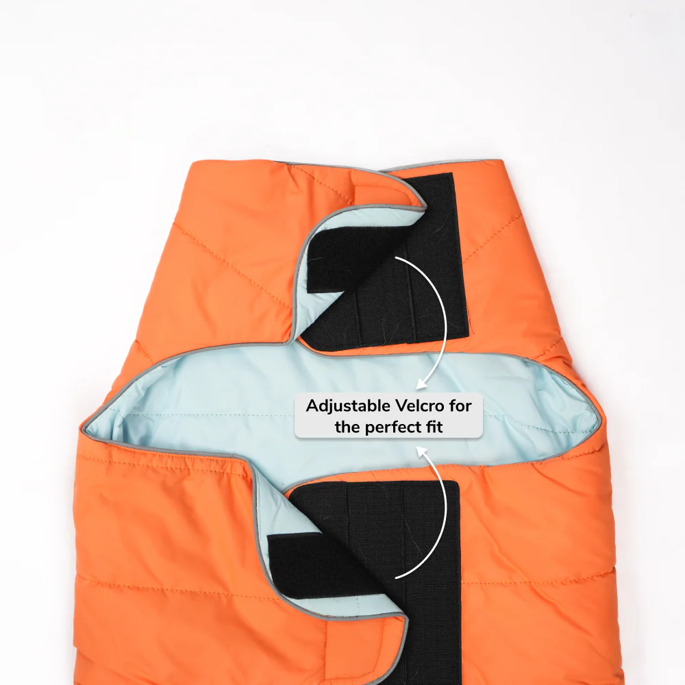 Skatrs Firefly Fuzz Puffer Reversible Jacket for Dogs and Cats - Image 6