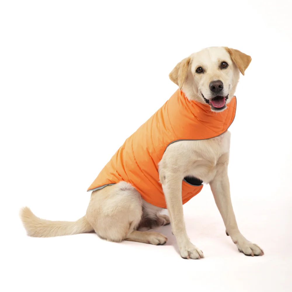 Skatrs Firefly Fuzz Puffer Reversible Jacket for Dogs and Cats - Image 8