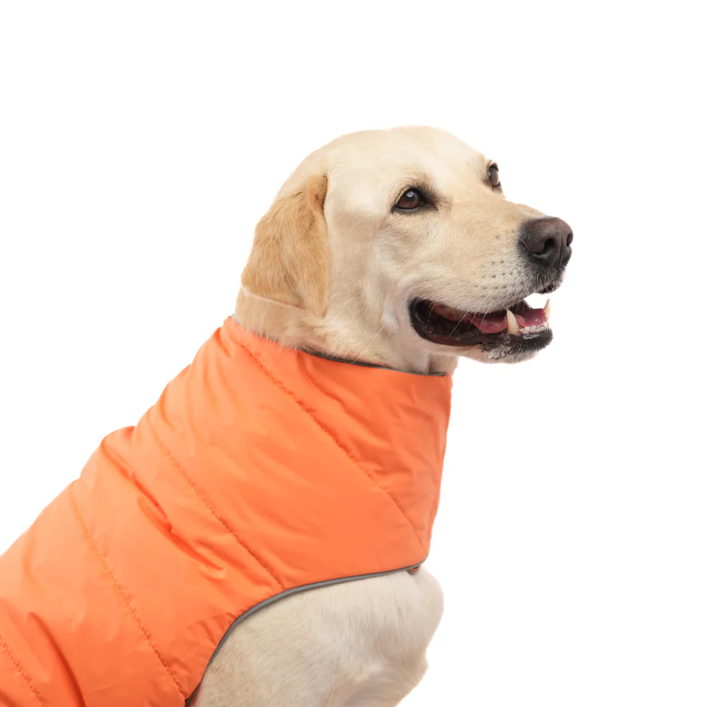 Skatrs Firefly Fuzz Puffer Reversible Jacket for Dogs and Cats - Image 9