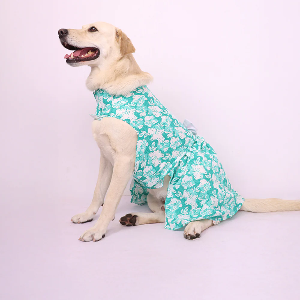 Skatrs Floral Grace Dress for Dogs and Cats (Blue) - Image 2