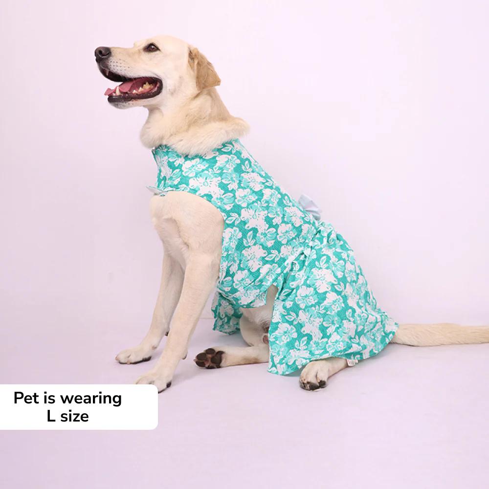 Skatrs Floral Grace Dress for Dogs and Cats (Blue) - Image 5