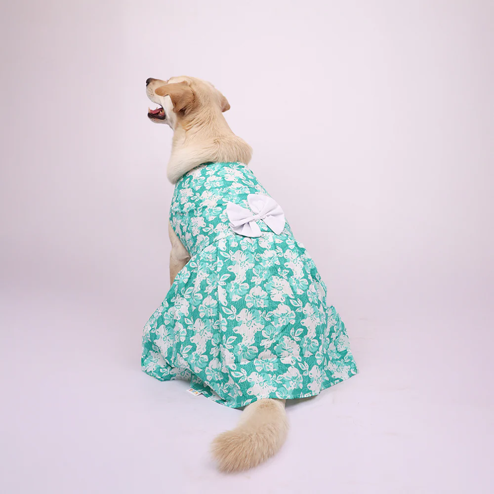 Skatrs Floral Grace Dress for Dogs and Cats (Blue) - Image 6