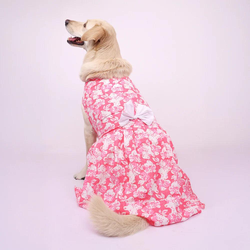 Skatrs Floral Grace Dress for Dogs and Cats (Pink) - Image 2