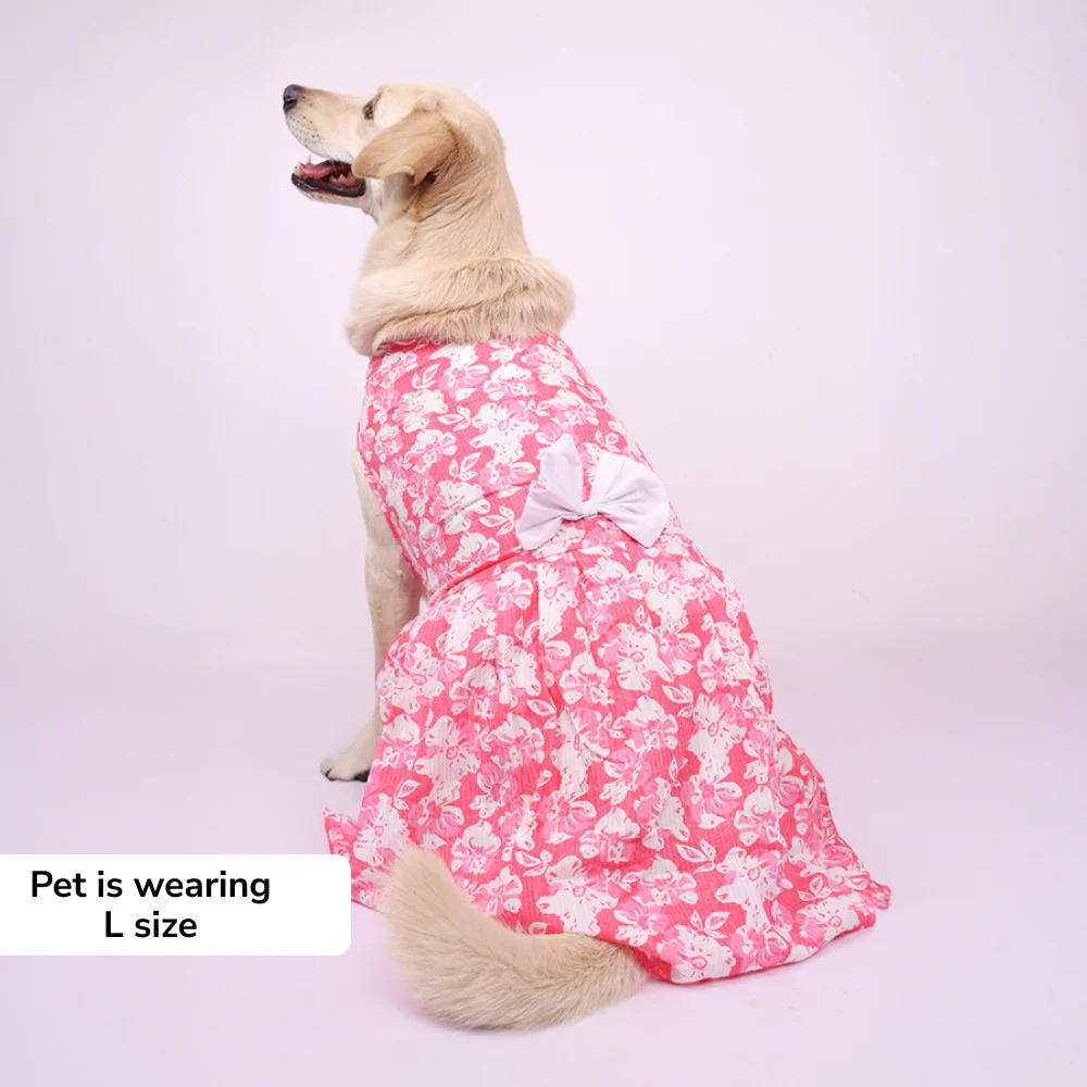 Skatrs Floral Grace Dress for Dogs and Cats (Pink) - Image 5