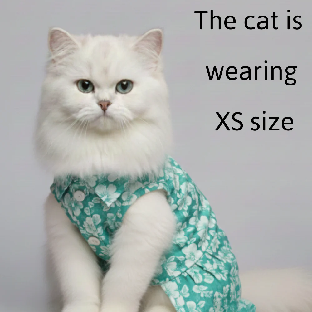 Skatrs Floral Grace Kurta for Dogs and Cats (Blue) - Image 3