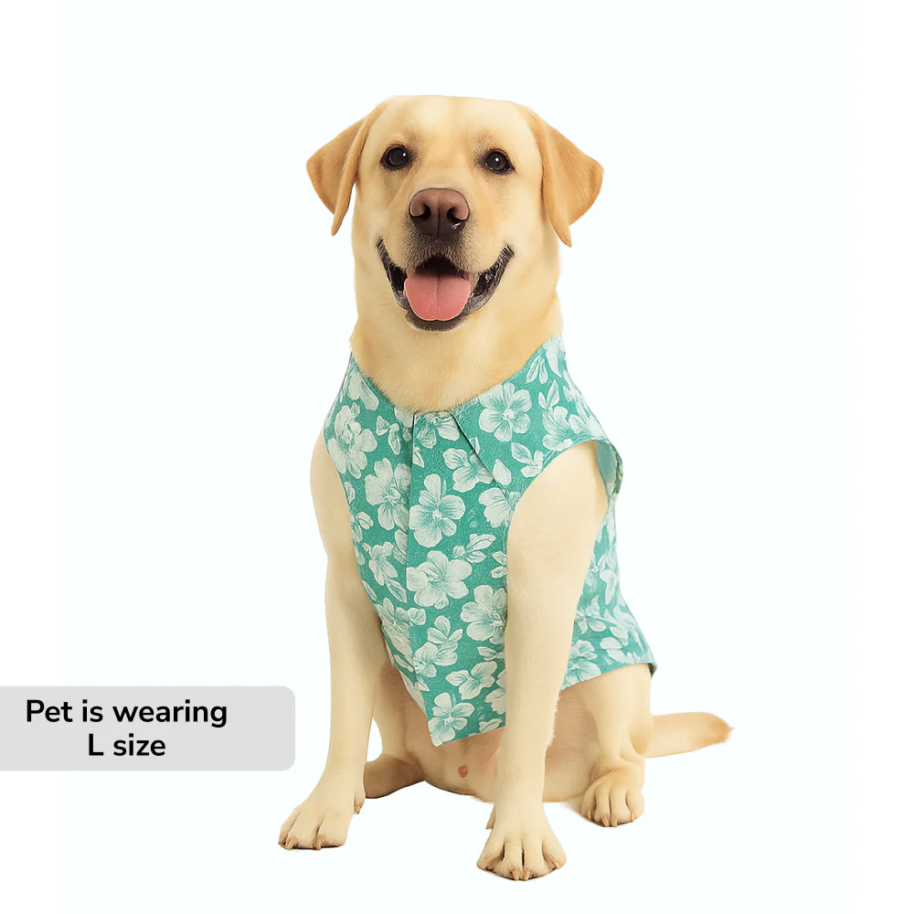 Skatrs Floral Grace Kurta for Dogs and Cats (Blue) - Image 4