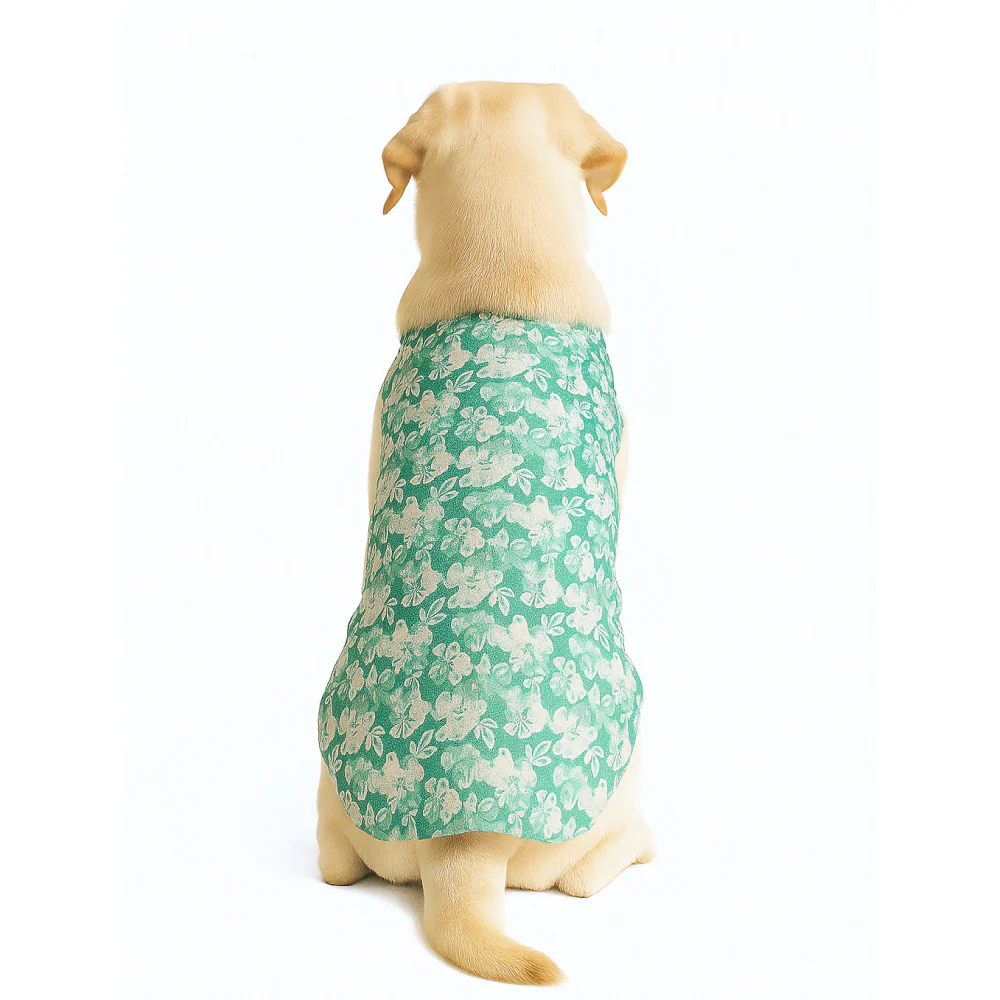 Skatrs Floral Grace Kurta for Dogs and Cats (Blue) - Image 5