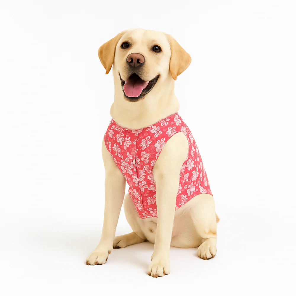 Skatrs Floral Grace Kurta for Dogs and Cats (Pink) - Image 2