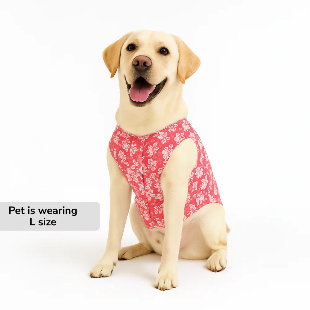 Skatrs Floral Grace Kurta for Dogs and Cats (Pink) - Image 5