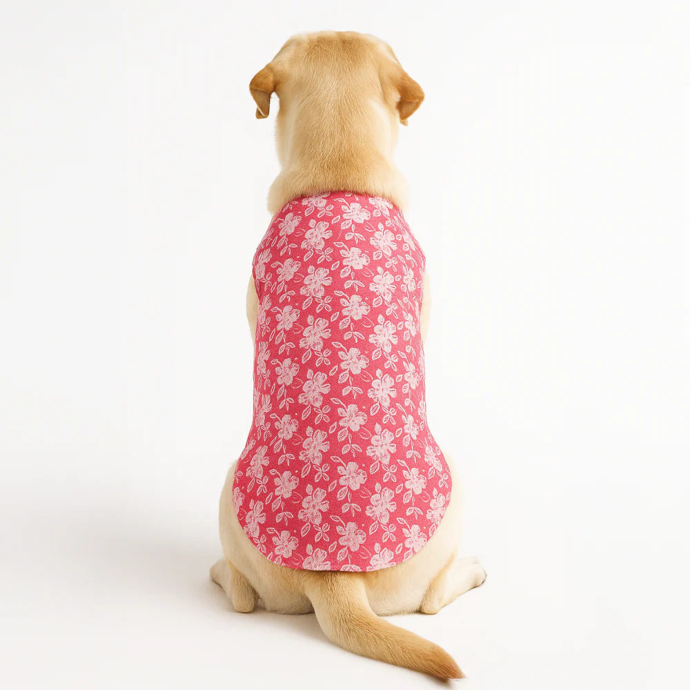 Skatrs Floral Grace Kurta for Dogs and Cats (Pink) - Image 6